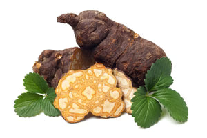 Polygonum Multiflorum Extract