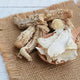 Angelica Sinensis Extract