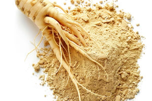 Panax Ginseng Extract